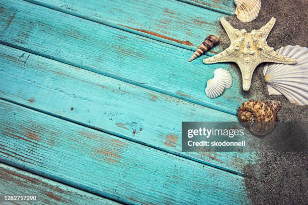 seashells in the sand on blue wood background - wood pier stock pictures, royalty-free photos & images