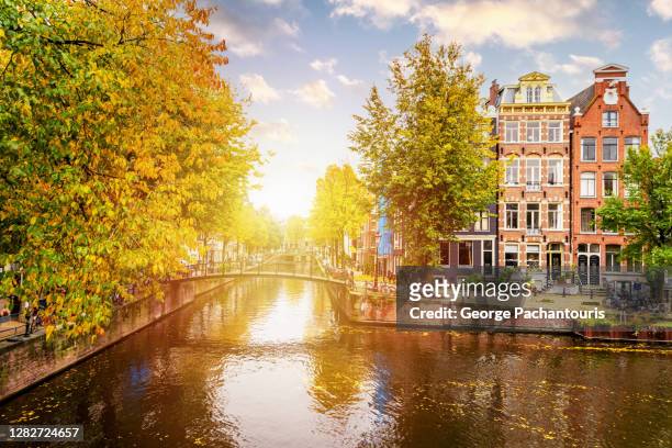 bright sun in amsterdam canal during autumn - amsterdam winter stock pictures, royalty-free photos & images