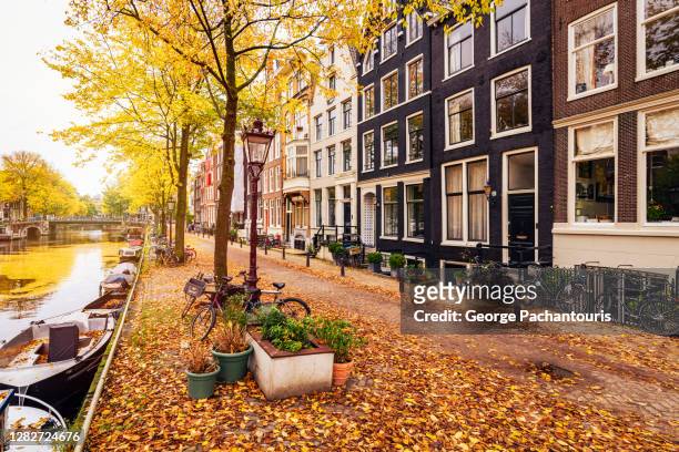 street in amsterdam covered in autumn leaves - noord holland landschap stockfoto's en -beelden