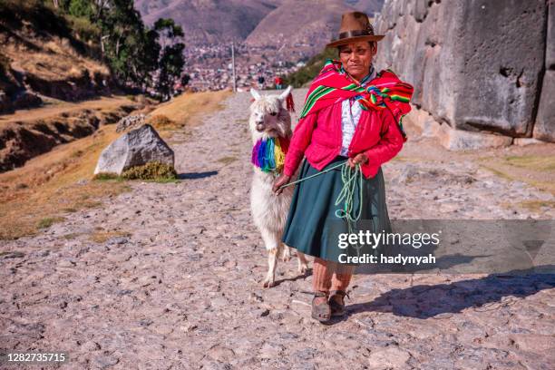 mujer peruana que lleva ropa nacional posando con llama cerca de cuzco - quechuas fotografías e imágenes de stock