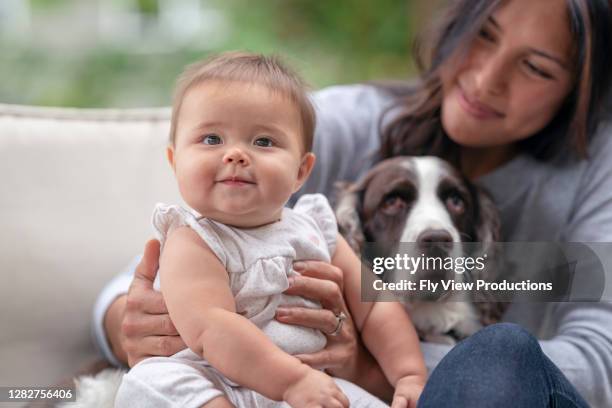 cute eurasian baby with her mom and pet dog - eurasian ethnicity stock pictures, royalty-free photos & images