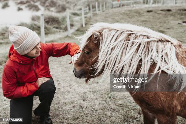 young woman with shetland pony - miniature horse stock pictures, royalty-free photos & images