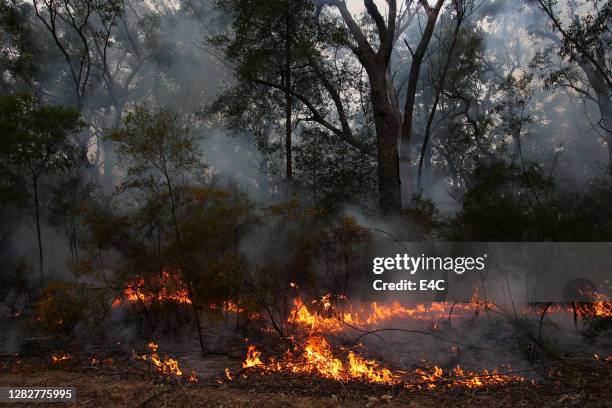 brushfire damage in australia - australia bushfire stock pictures, royalty-free photos & images
