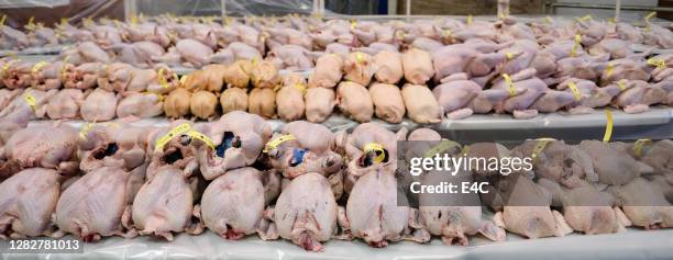 poultry on display in wholesale market - camel meat stock pictures, royalty-free photos & images
