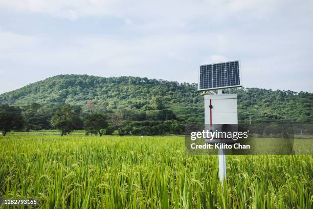 monitoring equipment fueled by solar energy in the paddy field - freshgrass festival photos et images de collection