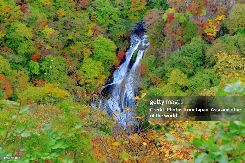 Autumn Leaf Color of Kirifuri Waterfall, Nikko, Japan