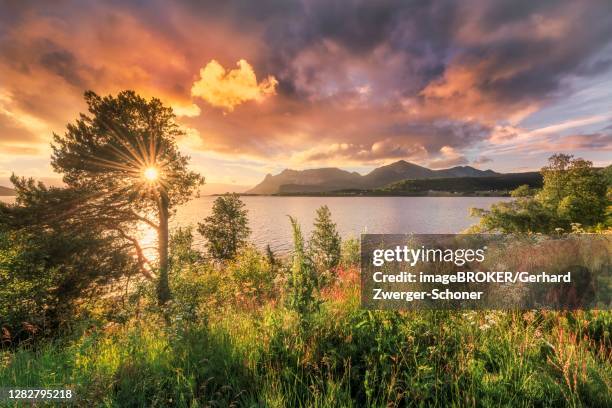 Midsummer Sun 726 Norway The Land Of The Midnight Sun Stock Photos, High-Res Pictures ...