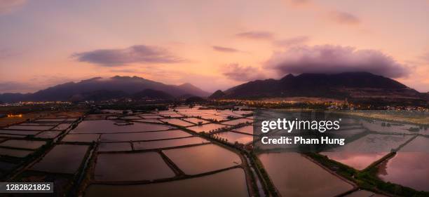 shrimp farm lake in sunset - aquaculture stock pictures, royalty-free photos & images