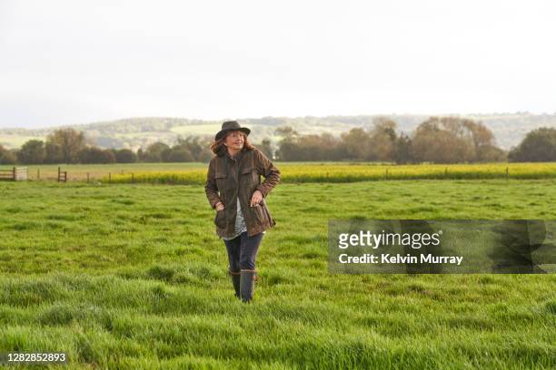 a female farmer who specialises in organic farming and a suckler herd - specialises stock pictures, royalty-free photos & images
