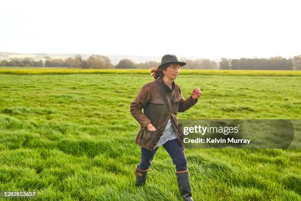 a female farmer who specialises in organic farming and a suckler herd - specialises stock pictures, royalty-free photos & images