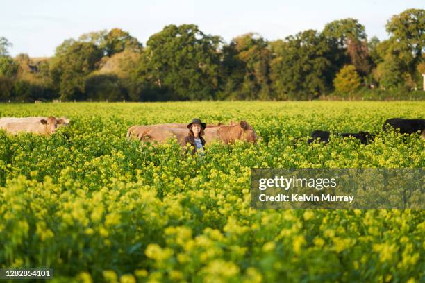 farmer who specialises in organic farming and a suckler herd - specialises stock pictures, royalty-free photos & images