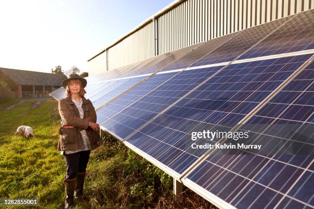 farmer who specialises in organic farming and a suckler herd - exeter england 個照片及圖片檔