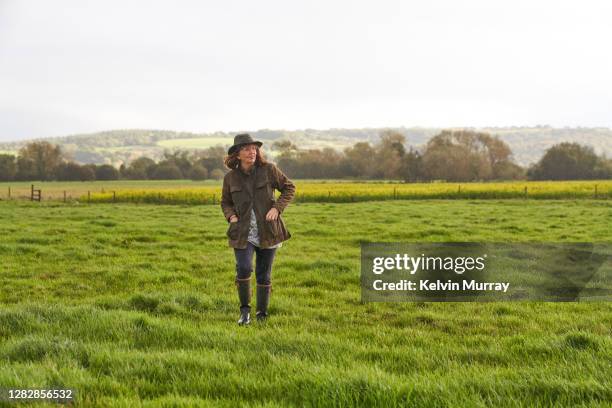 a female farmer who specialises in organic farming and a suckler herd - specialises stock pictures, royalty-free photos & images