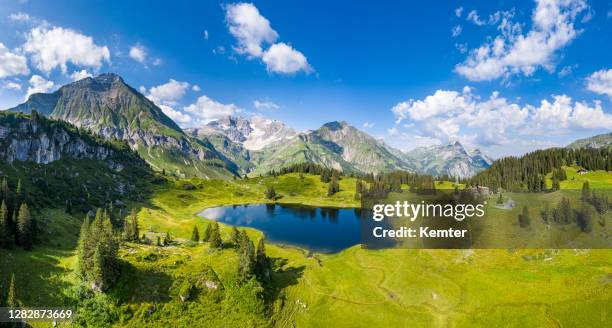 luftaufnahme eines idyllischen sees und berge - bregenzerwald stock-fotos und bilder