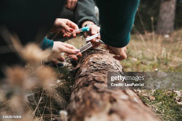 onderzoeker in het bos onderzoekt bomen - plant stem stockfoto's en -beelden