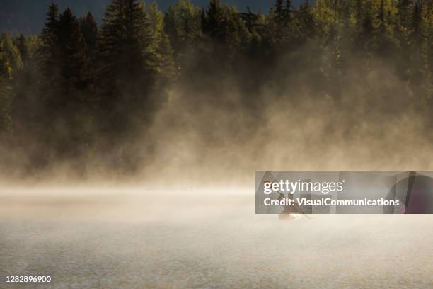 mann kajak fahren im morgennebel auf see in whistler. - kayak stock-fotos und bilder