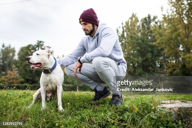 a handsome young man petting his dog - staffordshire bull terrier stock pictures, royalty-free photos & images
