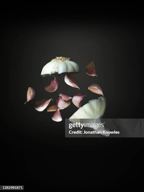 Exploding Mini Garlic 6,011 Garlic Clove Stock Photos, High-Res Pictures, and Images - Getty ...