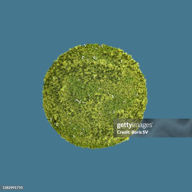 mossy planet - ball isolated stock pictures, royalty-free photos & images