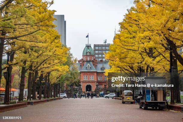 sapporo city in hokkaido prefecture of japan - sapporo stock pictures, royalty-free photos & images