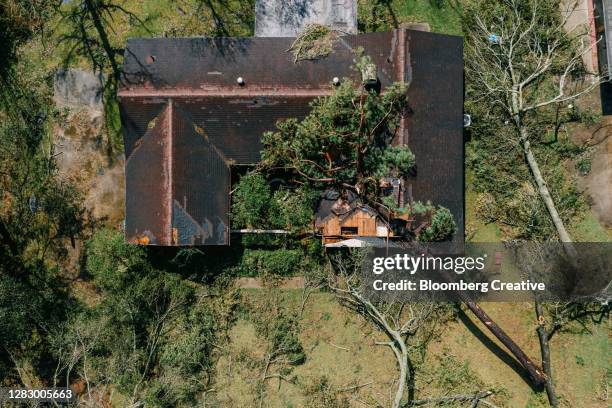 house damaged by a fallen tree - tornado tormenta fotografías e imágenes de stock