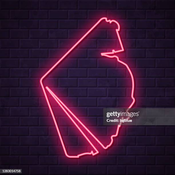 australian antarctic territory map - glowing neon sign on brick wall background - billboard australia stock illustrations
