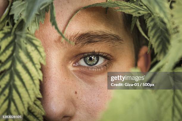 young caucasian boy looking at camera through leaves - human eye stock pictures, royalty-free photos & images