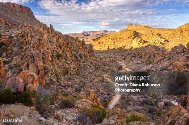 view of the grapevine hills trail and gravel wash from balanced rock, big bend national park, texas, usa - grapevine texas stock pictures, royalty-free photos & images