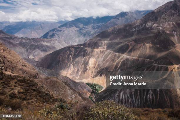 landschaftsaufnahmen des colca canyon - arequipa peru stock-fotos und bilder
