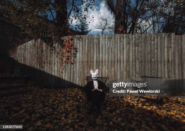 man dressed as bunny - rabbit mask fotografías e imágenes de stock