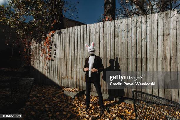 man dressed as bunny - rabbit mask stock pictures, royalty-free photos & images