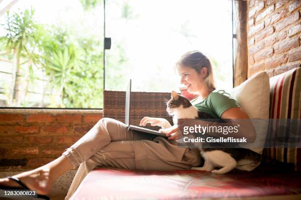 vrouw die laptop gebruikt en thuis het werken die een binnenlandse kat houdt - cat laptop stockfoto's en -beelden