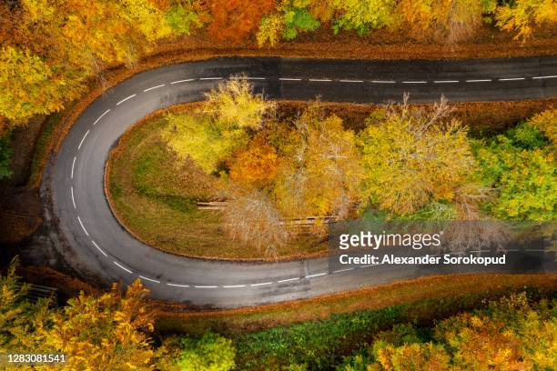 zigzag road, framed by orange autumn forest. serpentine climbs the vosges mountains in alsace. the geometry of the road loop looks amazing from above. france - uneben stock-fotos und bilder
