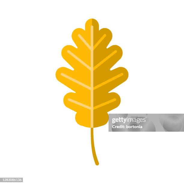 bildbanksillustrationer, clip art samt tecknat material och ikoner med oak leaf ikon på transparent bakgrund - ek