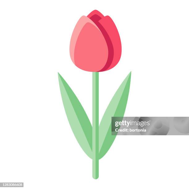 ilustrações de stock, clip art, desenhos animados e ícones de tulip icon on transparent background - tulipa