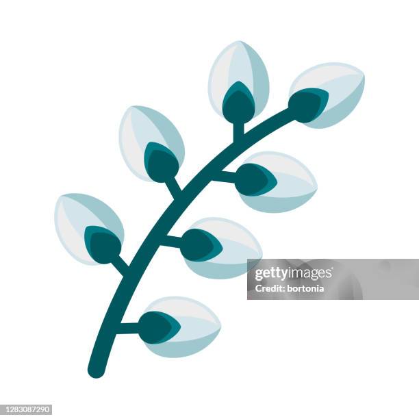 pussy willow icon on transparent background - willow tree stock illustrations
