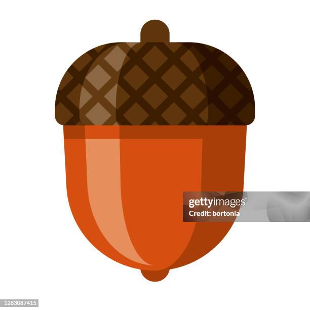 acorn icon on transparent background - acorns stock illustrations