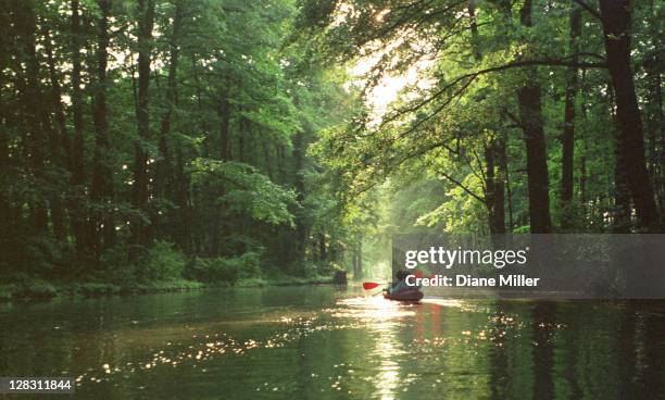 two people in boating in the spreewald in north east germany - canoe stock pictures, royalty-free photos & images