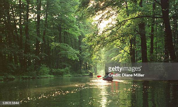 two people in boating in the spreewald in north east germany  - brandemburgo - fotografias e filmes do acervo