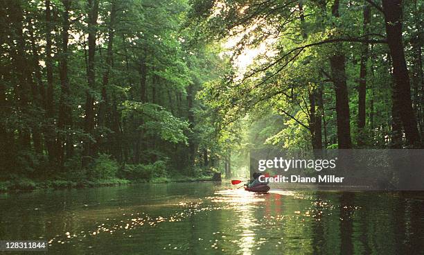 two people in boating in the spreewald in north east germany  - brandenburg bildbanksfoton och bilder