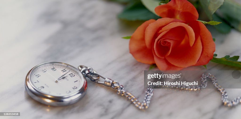 Watch and Rose, Still Life