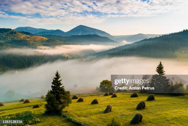 panorama of a misty dawn in the mountains. beautiful landscape - carpathian mountain range stock-fotos und bilder