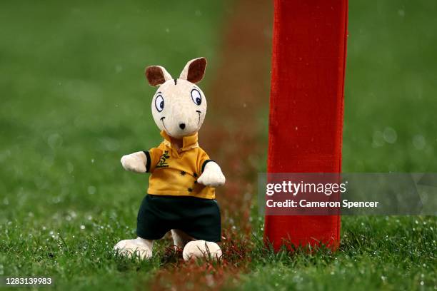 The Wallabies Kangaroo sits on the field ahead of the 2020 Tri-Nations and Bledisloe Cup match between the Australian Wallabies and the New Zealand...