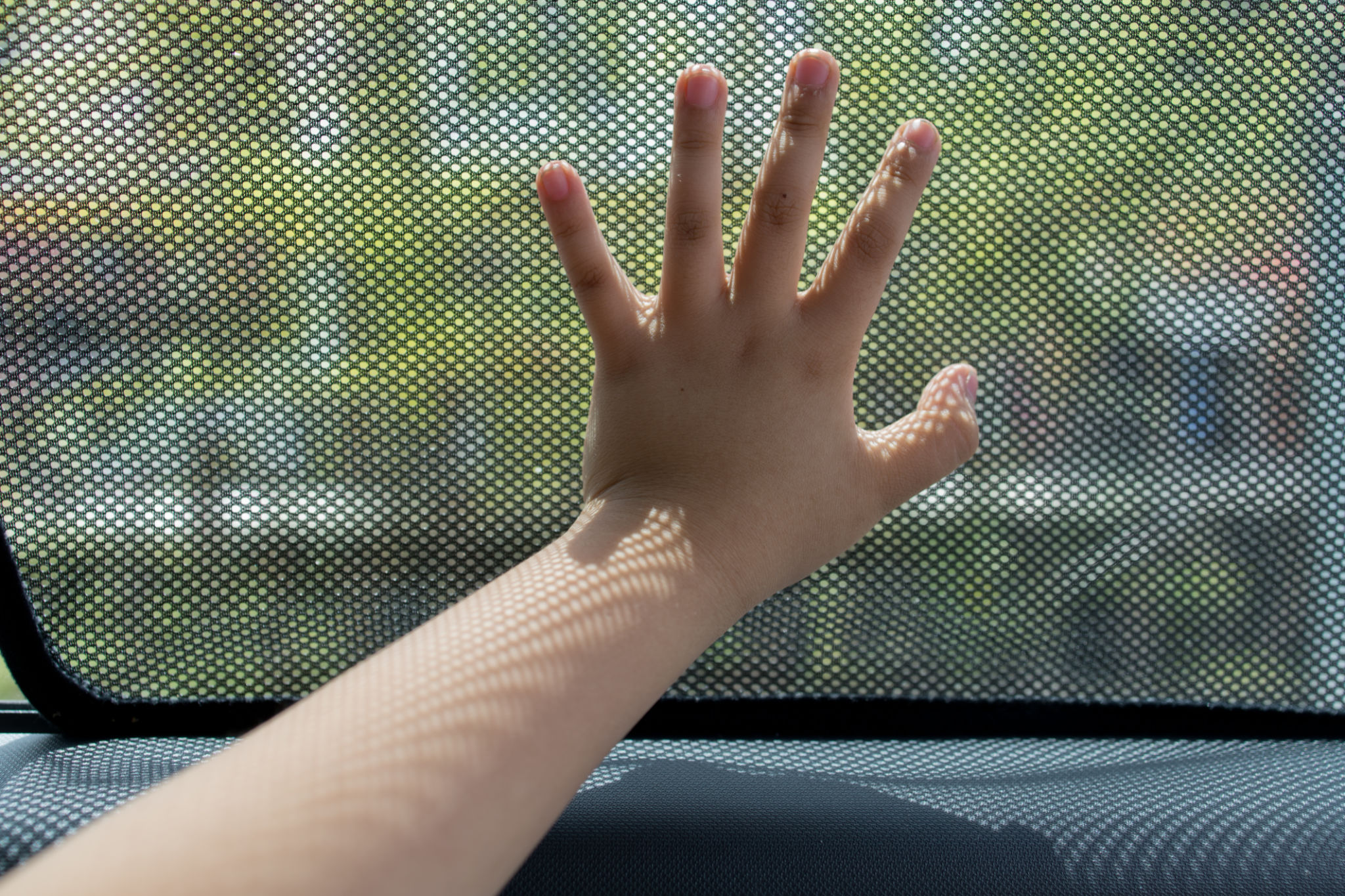 car interior sunshade