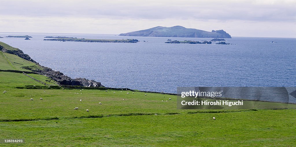 Inishtooskert (also called the Sleeping Giant), one of the Blasket Islands seen from Slea Head, Dingle Peninsula, County Kerry, Ireland