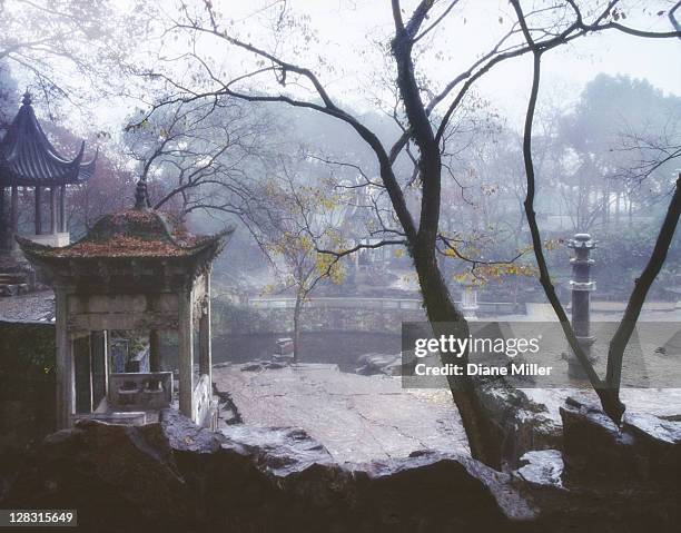 garden in suzhou, china. digital soft-focus effect. - softfocus stock pictures, royalty-free photos & images