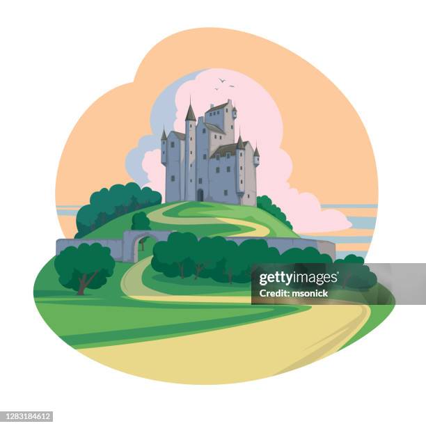 castle - palace stock illustrations