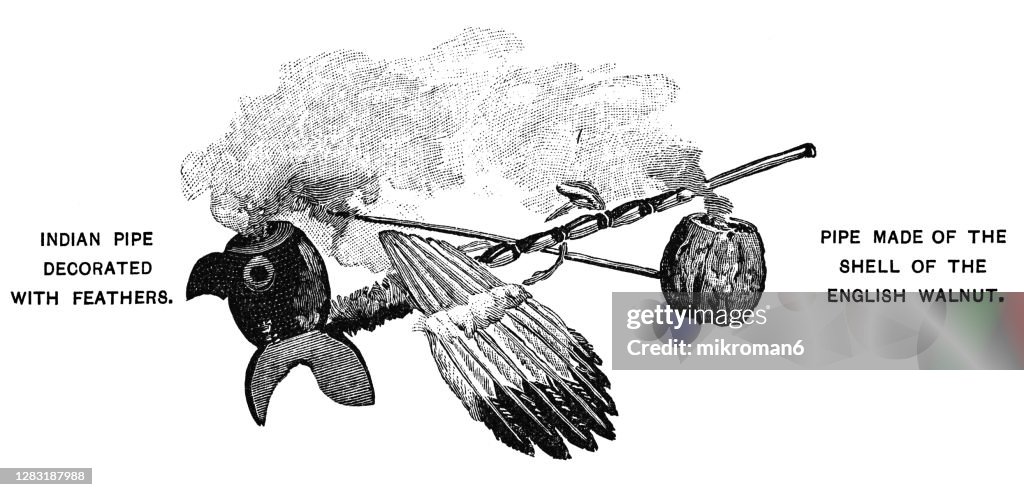 Old engraved illustration of Indian smoking pipes