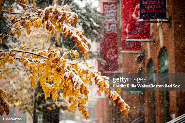 Trees display foliage on Jersey Street as snow falls on October 30, 2020 at Fenway Park in Boston, Massachusetts.
