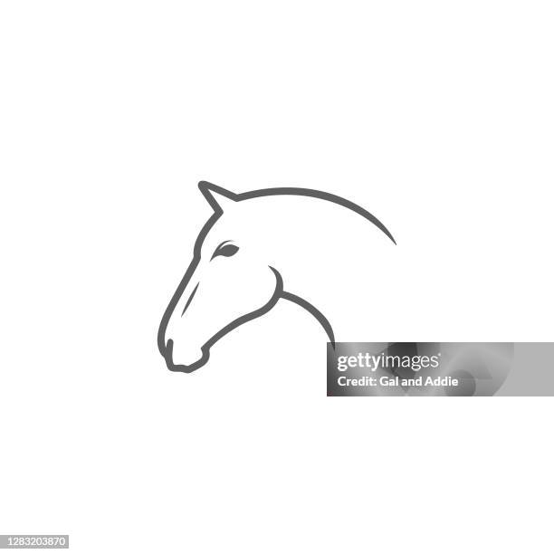 illustrations, cliparts, dessins animés et icônes de tête de cheval - chevaux